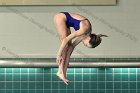 Maddy Morrison  Wheaton College Women's diver Maddy Morrison competes against Babson College, January 11, 2020. - Photo By: KEITH NORDSTROM : Wheaton, Swimming, Maddy Morrison